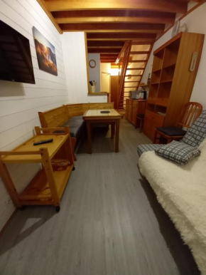 Appartement Mont Dore tout confort, 2 pièces, 4 personnes